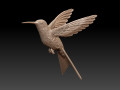 colibri humming bird 3D-printmodel
