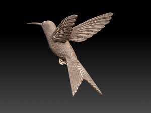 Colibri humming bird 3D Print Model