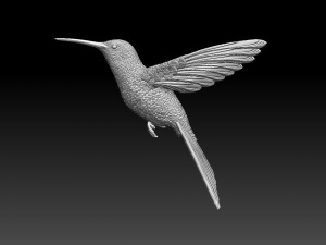 Colibri humming bird 3D Print Model