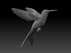 Colibri humming bird 3D Print Model