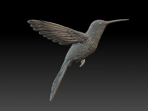 Colibri humming bird 3D Print Model