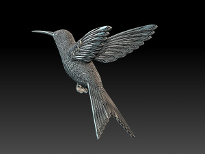 Colibri humming bird 3D Print Model