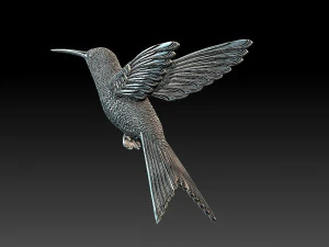 Colibri colibri Modèles 3D en vedette