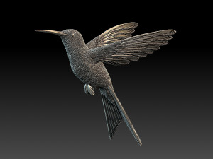 Colibri humming bird 3D Print Model