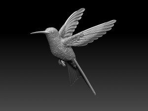 Colibri humming bird 3D Print Model