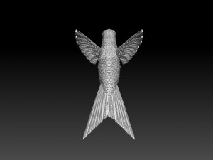 Colibri humming bird 3D Print Model