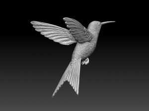 Colibri humming bird 3D Print Model