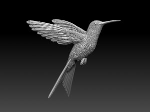 Colibri humming bird 3D Print Model