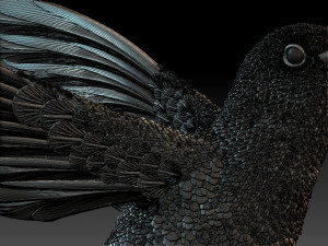 Colibri humming bird 3D Print Model