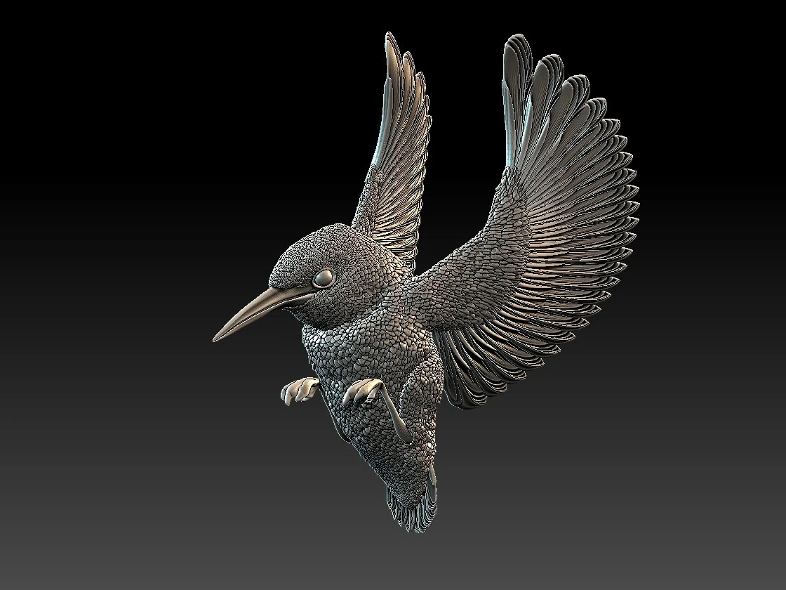 kingfisher 3D Print Model .c4d .max .obj .3ds .fbx .stl .blend 