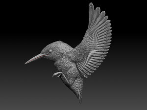 kingfisher 3Dプリントモデル