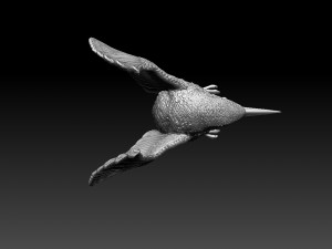 kingfisher 3Dプリントモデル