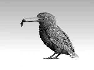 kingfisher 3D Print Model