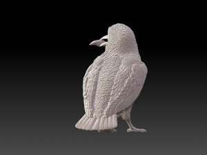 kingfisher Modello di stampa 3D