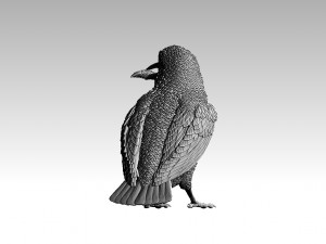 kingfisher Modello di stampa 3D