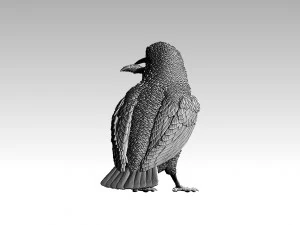 kingfisher 3D Print Model
