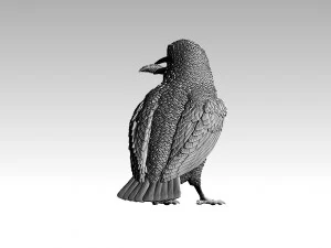 kingfisher 3D Print Model