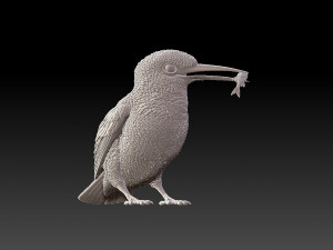kingfisher Modello di stampa 3D