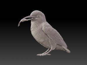 kingfisher Modello di stampa 3D