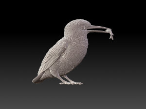 kingfisher Modello di stampa 3D