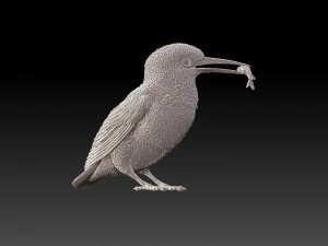 kingfisher 3D Print Model