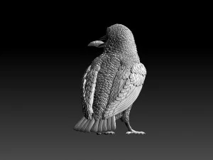 kingfisher 3D Print Model