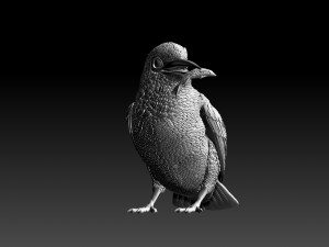 kingfisher Modello di stampa 3D