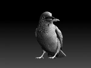 kingfisher 3D Print Model