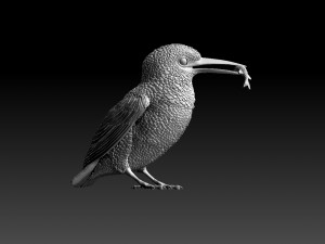 kingfisher Modello di stampa 3D