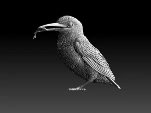 kingfisher 3D Print Model