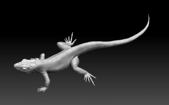 Lizard 3D Baskı Modeli .c4d .max .obj .3ds .fbx .stl .blend 