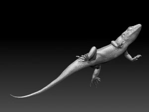 Lizard 3D Print Model