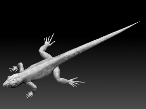 Lizard 3D Baskı Modeli