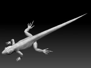 Lizard 3D Print Model