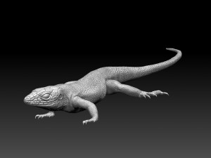 Lizard 3D Baskı Modeli