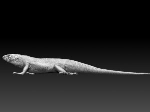 Lizard 3D Baskı Modeli