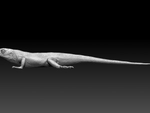 Lizard 3D Baskı Modeli