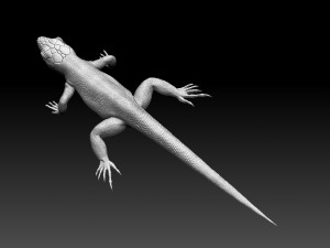 Lizard 3D Baskı Modeli