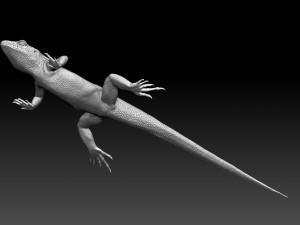 Lizard 3D Baskı Modeli