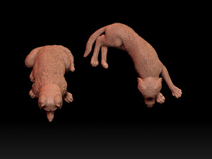 Dogs lies sits 3D 프린트 모델