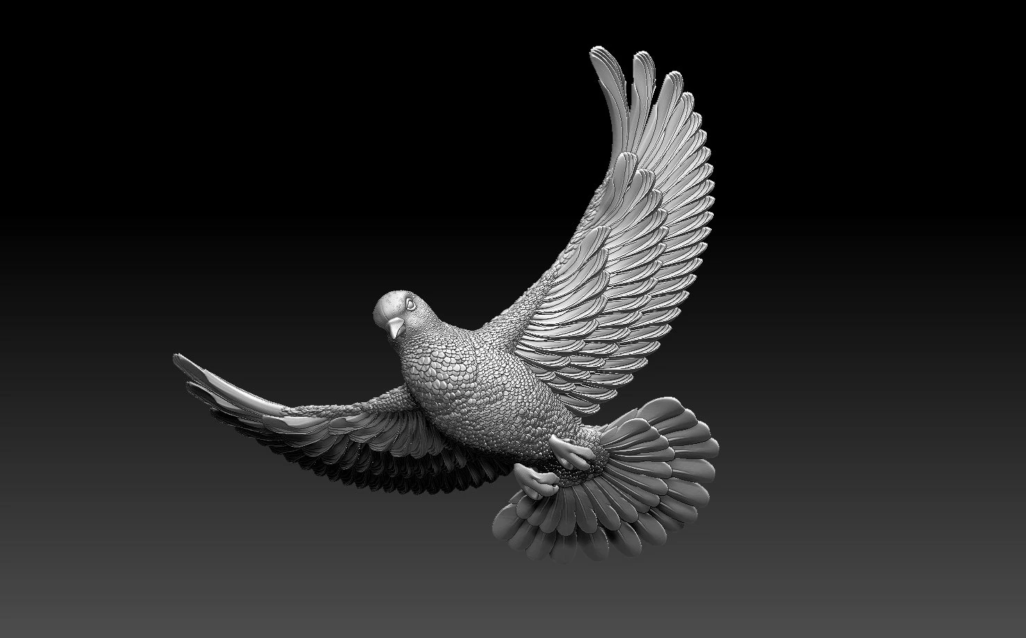 Dove 3D Print Model .c4d .max .obj .3ds .fbx .stl .blend 