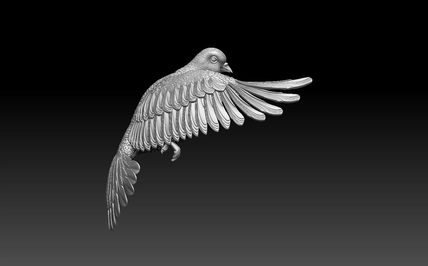 Dove 3D Print Model .c4d .max .obj .3ds .fbx .stl .blend 