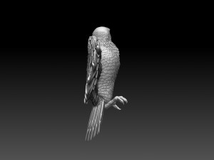 Eagle 3D Print Model