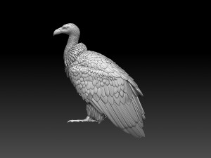 Vulture 3D 프린트 모델