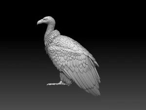 Vulture 3D Print Model