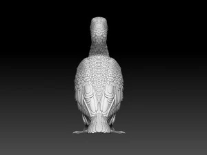 Cormorant 3D Print Model