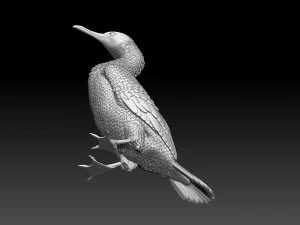 Cormorant 3D Print Model