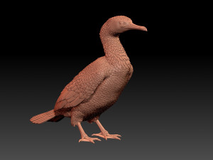 Cormorant Modelo de Impressão 3D