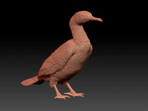 Cormorant 3D Print Model