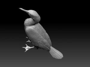 Cormorant 3D Print Model